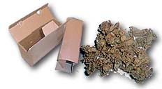 Cardboard